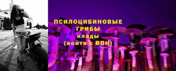 мдма Заводоуковск