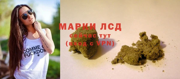 PSILOCYBIN Богородицк