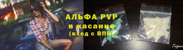 PSILOCYBIN Богородицк
