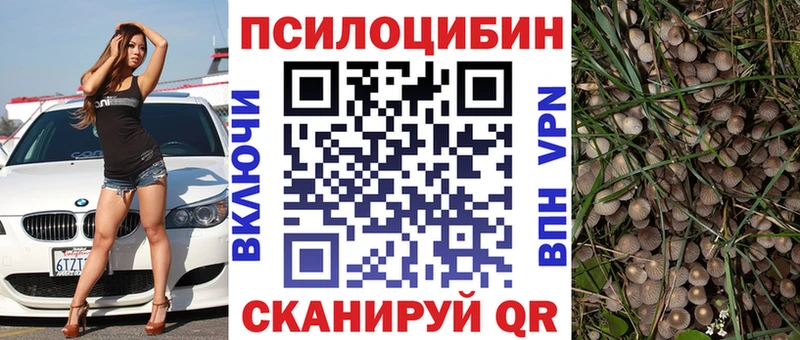 hydra ССЫЛКА  дарнет шоп  Кириши  Галлюциногенные грибы ЛСД 